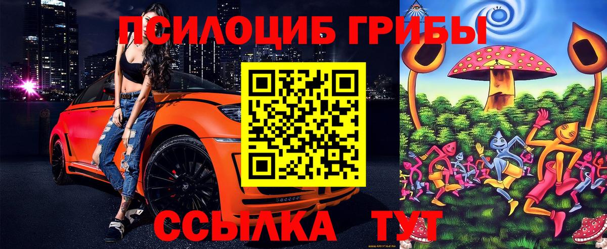 Псилоцибиновые грибы мухоморы Чехов