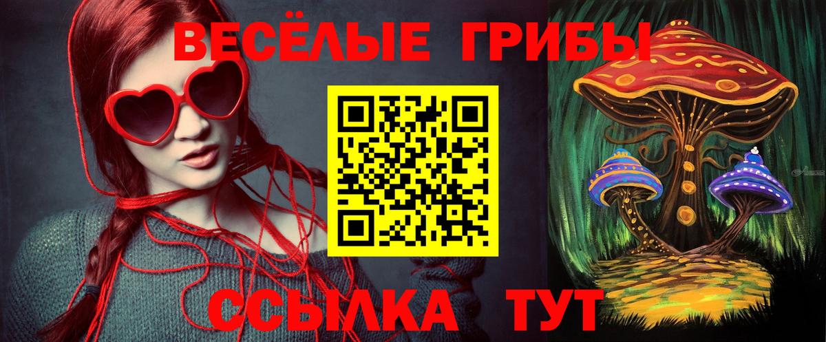 где купить   Галлюциногенные грибы прущие грибы  Вход с VPN  Чехов 